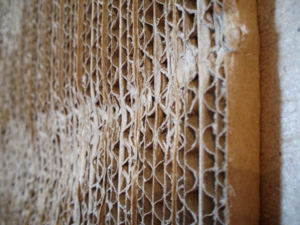 detail 3